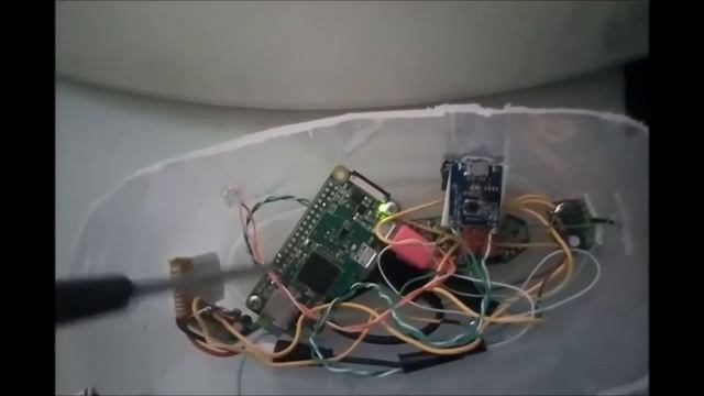 Project Oracle - Swanbom - Spring 2017 смотреть онлайн