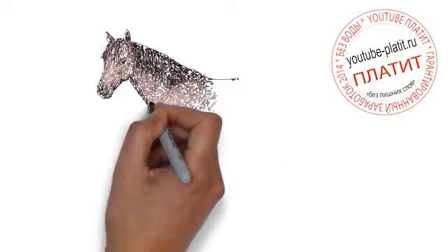Как поэтапно нарисовать лошадь Учимся рисовать лошадь смотреть онлайн