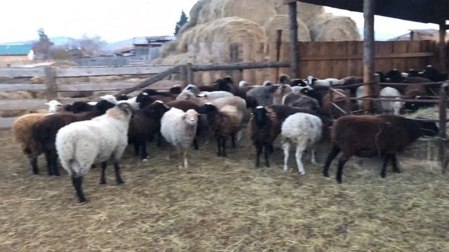 Выпал снег ❄️ смотреть онлайн