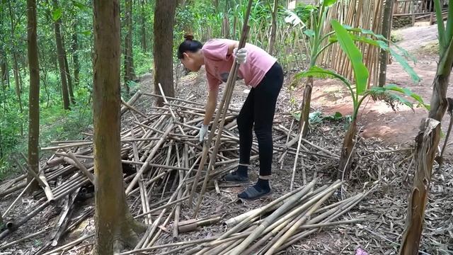 My Free Life 60 day Busy Harvesting Korean Melon, Papaya, Cooking to take Go Market Sell. Build Far смотреть онлайн