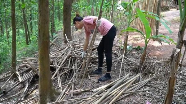 My Free Life 60 day Busy Harvesting Korean Melon, Papaya, Cooking to take Go Market Sell. Build Far