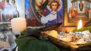 Порча На Собачью Жизнь, Чистка ??????♂️?