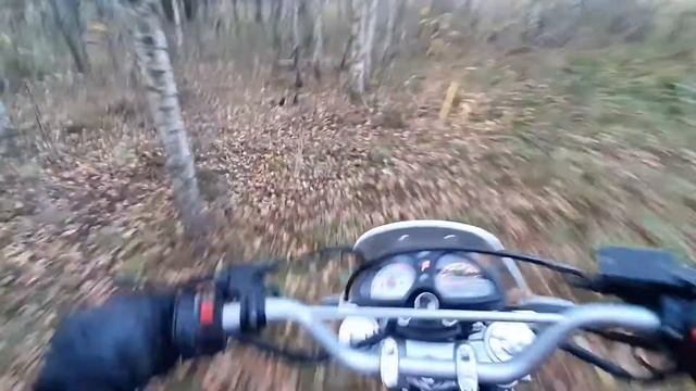 Покатушки на RACER ENDURO 200 смотреть онлайн