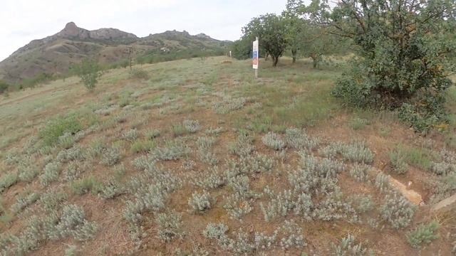 ЗАПОВЕДНИК КАРА - ДАГ в КРЫМУ / В Крым из Москвы На Машине / 6 серия