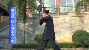 Практика Алмазной Крепости/Diamond Strength/金刚功. Мастер Чжан Чжишунь/Master Zhang Zhishun