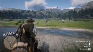 Всадник 10 Укротите все виды диких лошадей ? RDR2