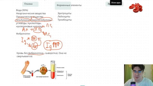 Внутренняя среда организма | спецкурс анатомия | EGE Hub