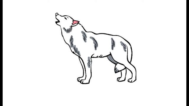 Как нарисовать Воющего волка. Раскраска Воющий волк для детей смотреть онлайн