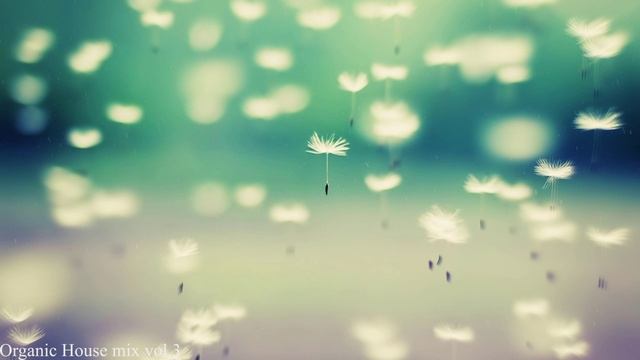 Organic House Mix Vol.3