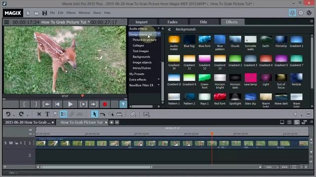 Magix Movie Edit Pro Plus: How To Grab a Picture from a Video (Exporting a single frame as jpeg). смотреть онлайн
