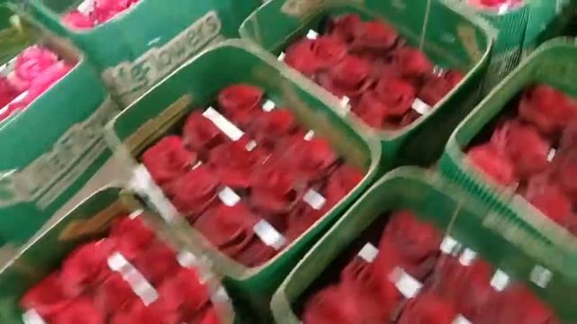 Эквадорская плантация роз премиум класса. смотреть онлайн