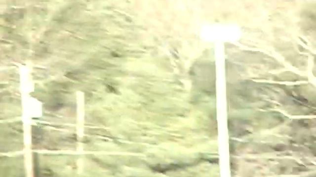 04. Snow Skiing 12-24-2005 #2 смотреть онлайн