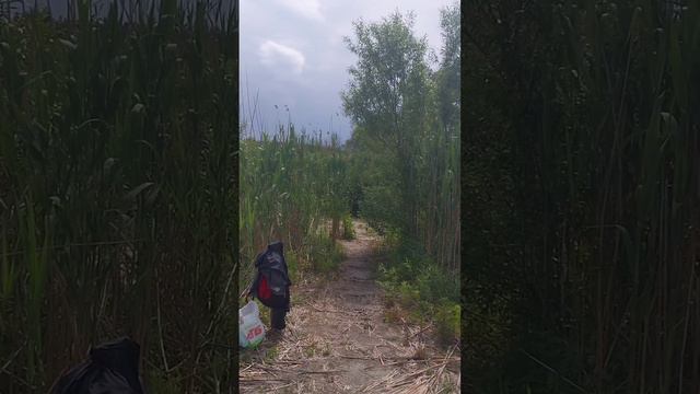 СИЛА КОЛОСЛОВА!СОЗДАЕТ ЗАЩИТУ! 26мая.Эп.1 смотреть онлайн