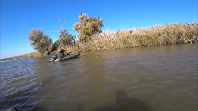 Ловля жереха на Волге. смотреть онлайн