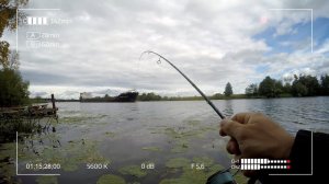 Спиннинг Crazy Fish Arion ASR702ULS на осенней Дубне. Микроджиг