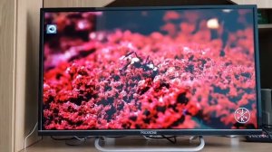 Full HD Телевизор POLARLINE 32PL54TC | ОТЗЫВ