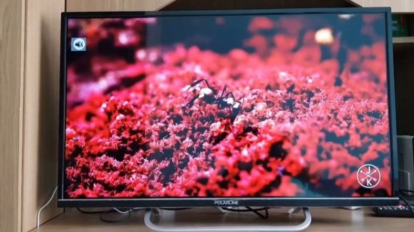Full HD Телевизор POLARLINE 32PL54TC | ОТЗЫВ