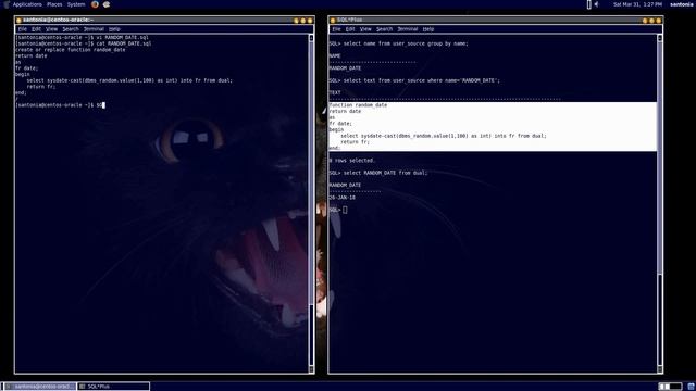 oracle - hiding PL/SQL source code смотреть онлайн