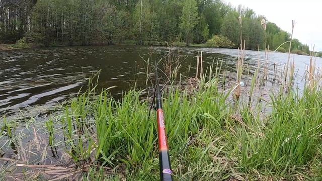 Деревня, Кот ест личинок майского жука, рыбалка смотреть онлайн