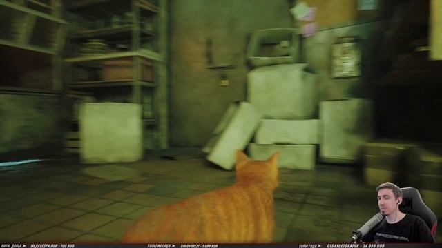ФИНАЛЬНЫЕ КОТОПРИКЛЮЧЕНИЯ ➤ STRAY ◉ Прохождение #5 [Финал\Концовка] смотреть онлайн