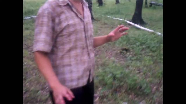 Дикие советы - выживание в лесу смотреть онлайн