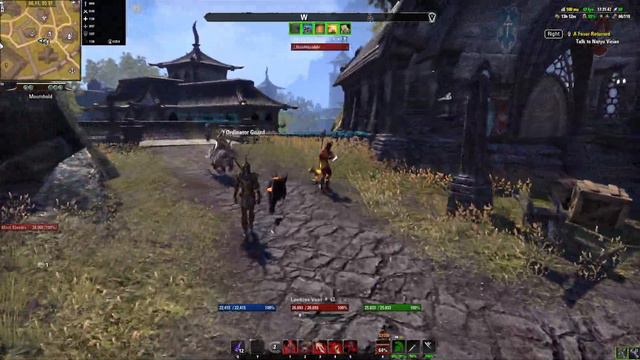 ESO Glitch: Got turned into a pet смотреть онлайн