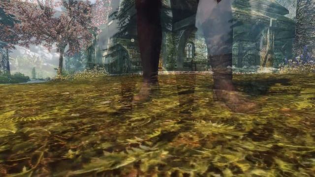 TES 5: Skyrim | Одеяние Тембтры 