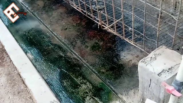 PETERNAK BEBEK PETELUR WAJIB PUNYA INI‼️kandang bebek bebas bau - RHY 4 смотреть онлайн