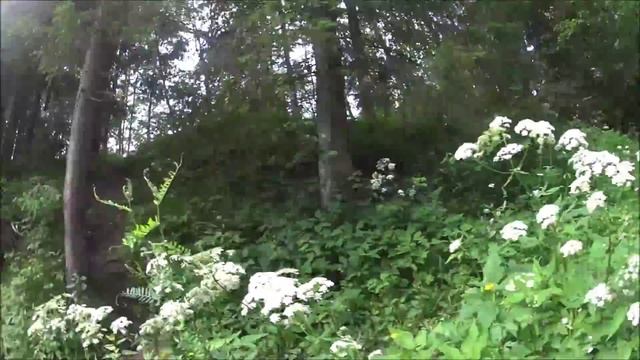 Свадебное путешествие. Водопад белые мосты. Горный парк Рускеала. смотреть онлайн