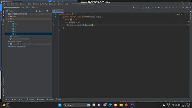 Java Program to Find ASCII Value of a character смотреть онлайн