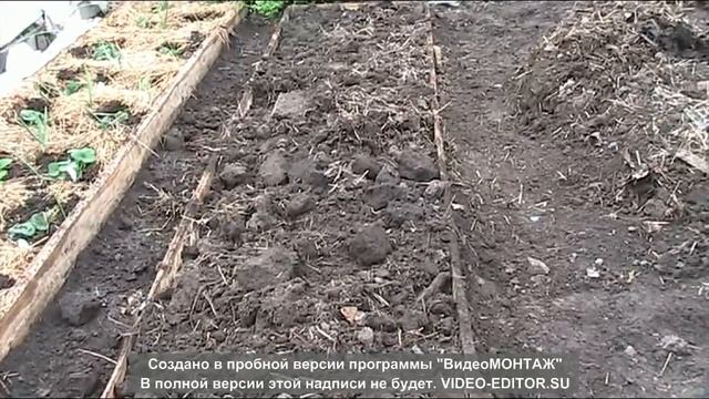 Делаем грядки под землянику из мусора!!!// Вариант - 2 // ягодная Империя Анастасии смотреть онлайн