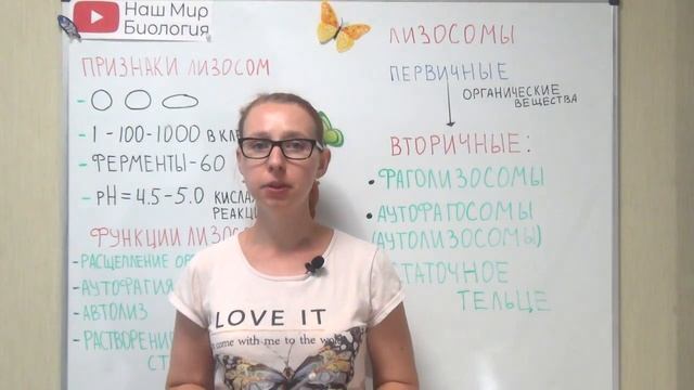 Лизосомы. Признаки, виды и функции лизосом. смотреть онлайн