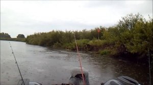 Рыбалка на донные удочки на пиявку с лодки на реке Припять. Наживка пиявка.