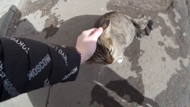 Мое утро. Делаю зарядку. Кормим с Федей уток смотреть онлайн