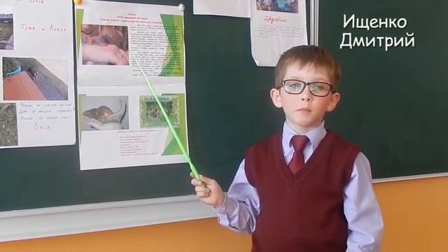 Проект 