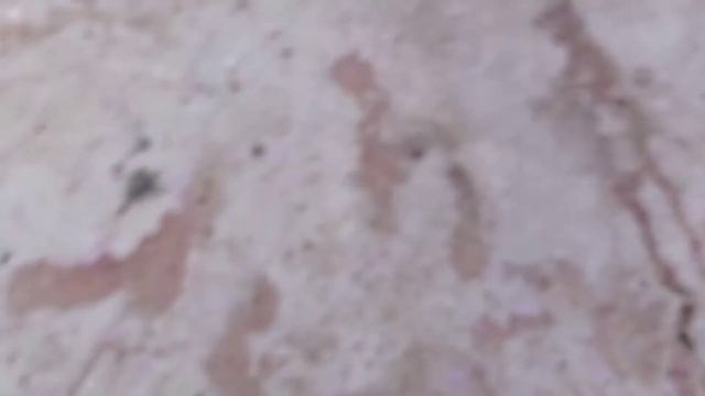 Коза родила двух козлят Иза йелЕдат ят трэ гдАйя עיזא ילדת ית תרי גדיא смотреть онлайн