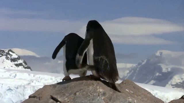 Зимний вечер. Манфред Шмитц. Winterabend. M.Schmitz. смотреть онлайн