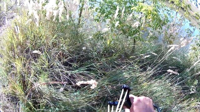 Рыбалка с рогаткой SLINGSHOT FISHING на ЗЕРКАЛЬНОГО КАРПА смотреть онлайн