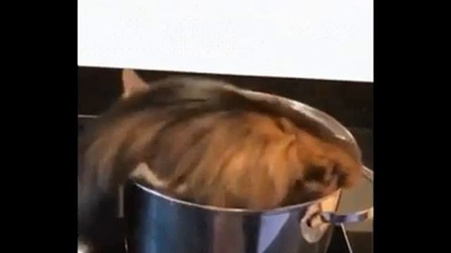 Суп с котом смотреть онлайн