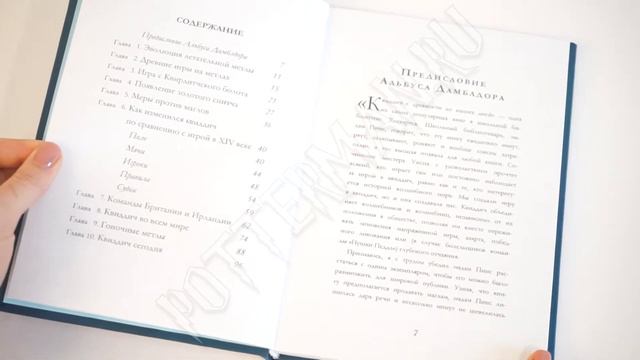 "КВИДДИЧ С ДРЕВНОСТИ ДО НАШИХ ДНЕЙ" смотреть онлайн