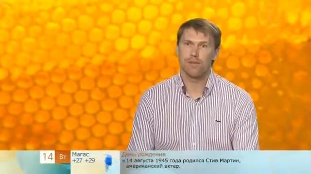 Разоблачаем подделку меда смотреть онлайн