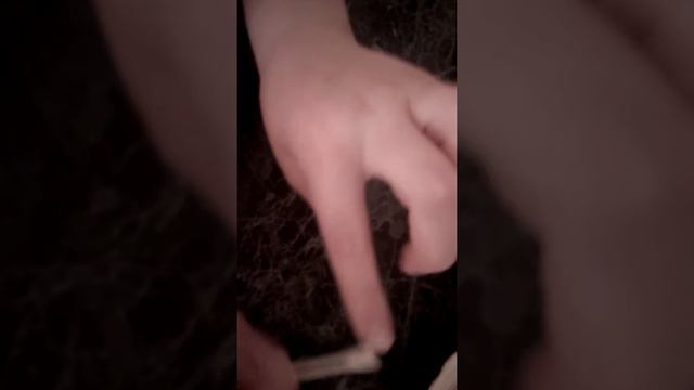 Рецепт для растения ногтей смотреть онлайн