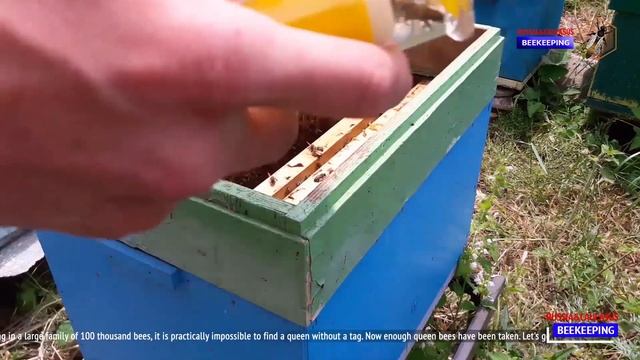 Как метить матку смотреть онлайн