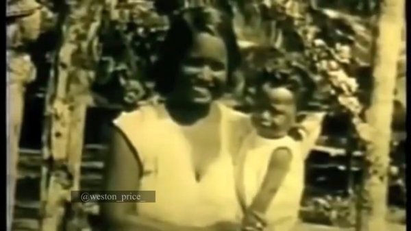 Исследования Вестона Прайса. Влияние традиционного и .mp4