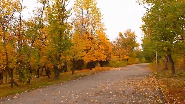 ЗОЛОТАЯ ОСЕНЬ В НИКОЛАЕВЕ. смотреть онлайн