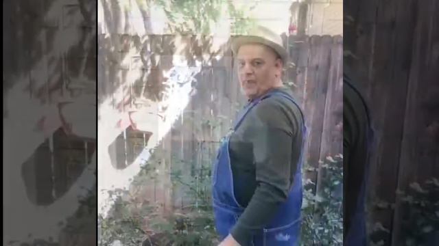 Delmer Green, Hillbilly Hamlet's, a Sonnet a Day- Shakespeare's Sonnet No 1 смотреть онлайн