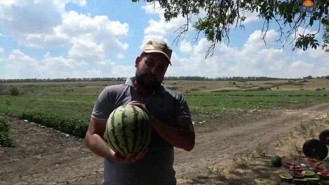 Мой Медок смотреть онлайн