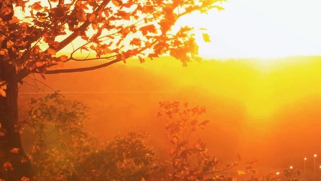 Govinda Jaya Jaya смотреть онлайн