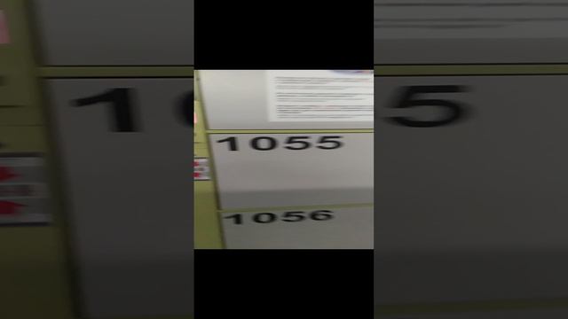 Санкт Питербург 17-22 марта 2024 смотреть онлайн